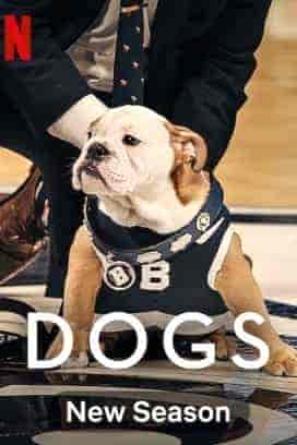 مسلسل Dogs الموسم الثاني الحلقة 1 الاولي مترجمة